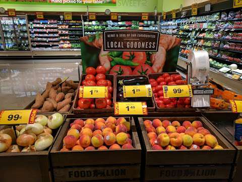 Food Lion Food Lion
